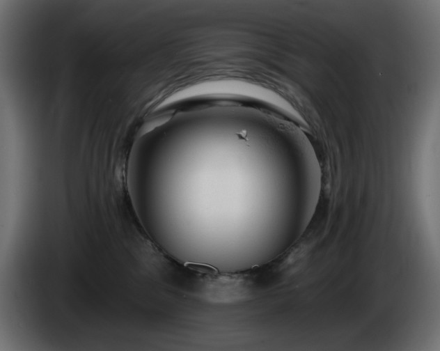 X0000085060329200703051444