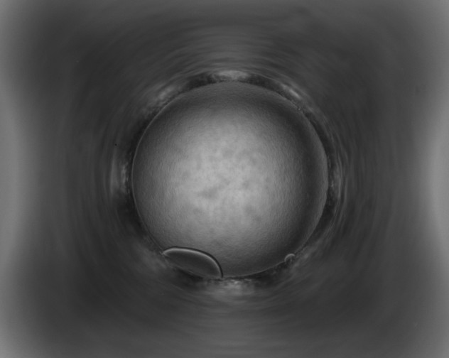 X0000085060330200703051444