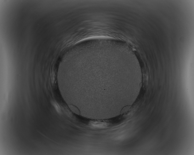 X0000085060331200703051444