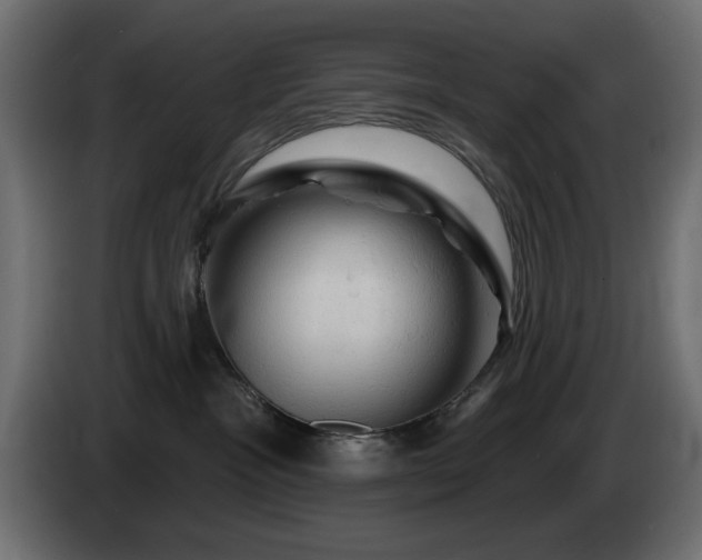 X0000085060333200703051444