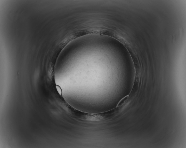 X0000085060334200703051444