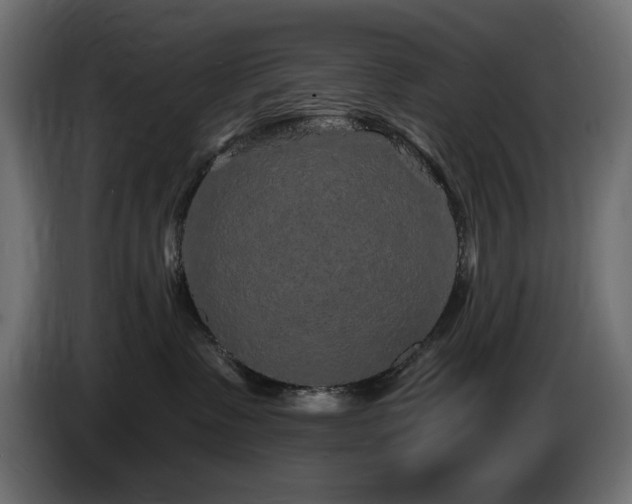 X0000085060335200703051444