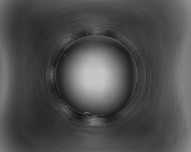 X0000085060336200703051444