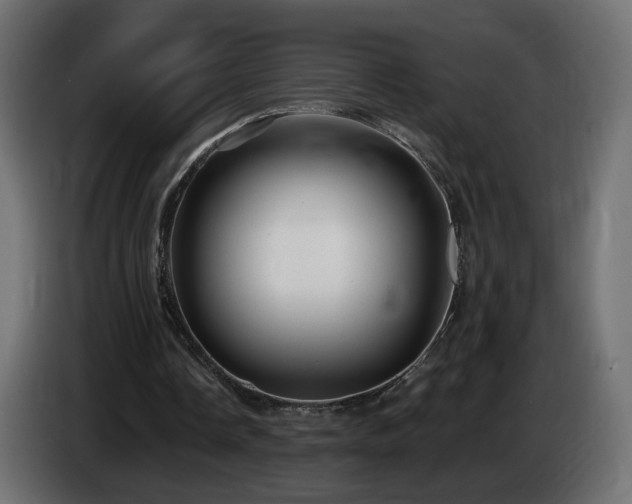 X0000085060338200703051444