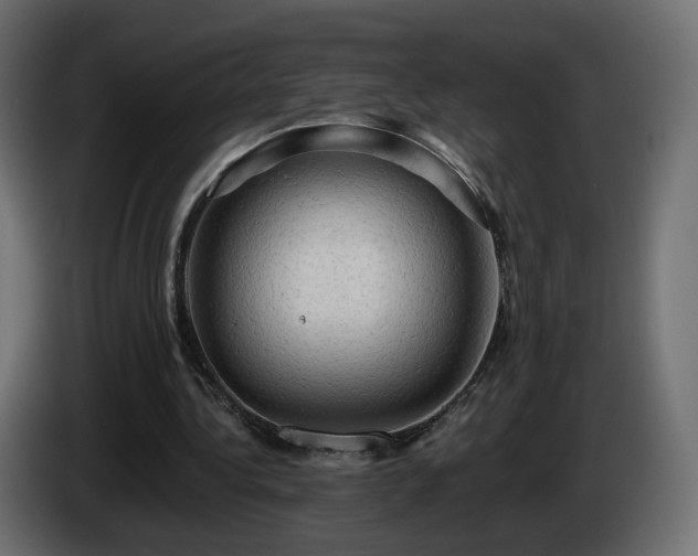 X0000085060340200703051444