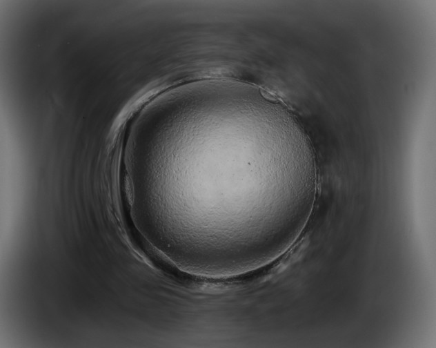 X0000085060341200703051444