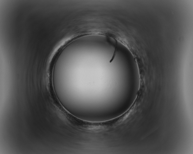 X0000085060342200703051444