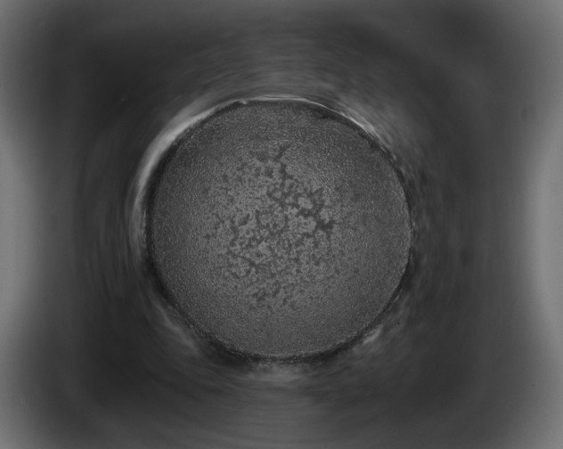X0000085060343200703051444