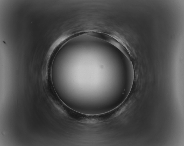 X0000085060344200703051444