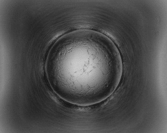 X0000085060345200703051444