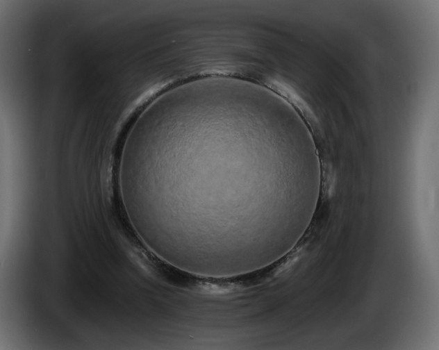 X0000085060346200703051444