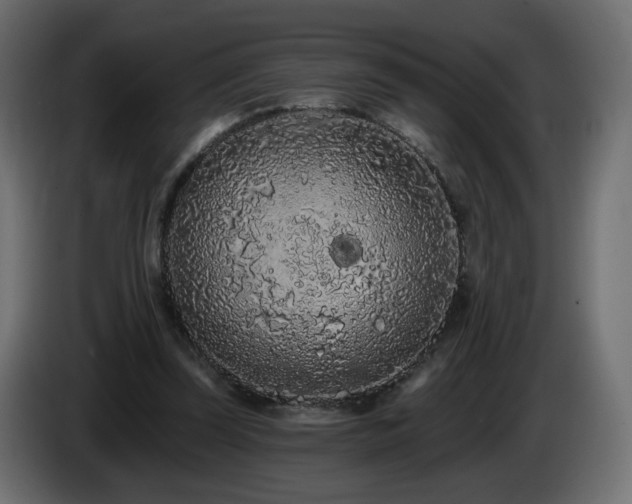 X0000085060347200703051444