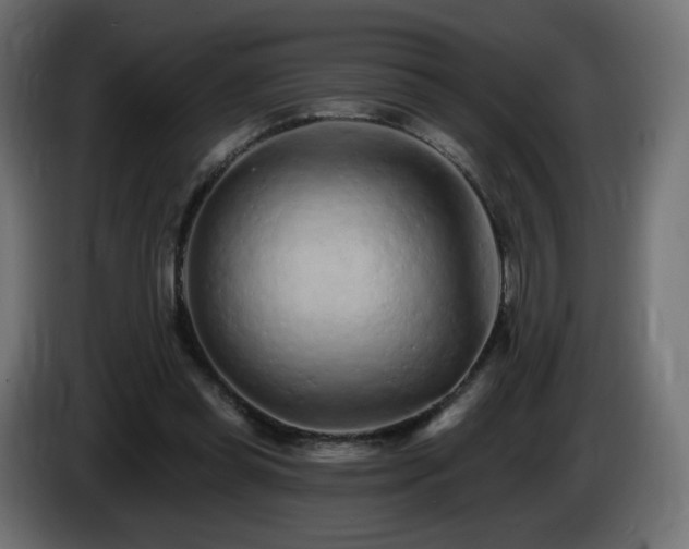 X0000085060349200703051444