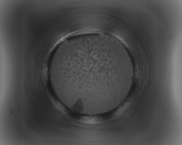 X0000085060351200703051444