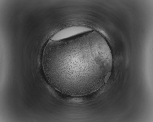 X0000085060353200703051444