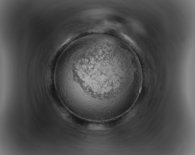 X0000085060354200703051444