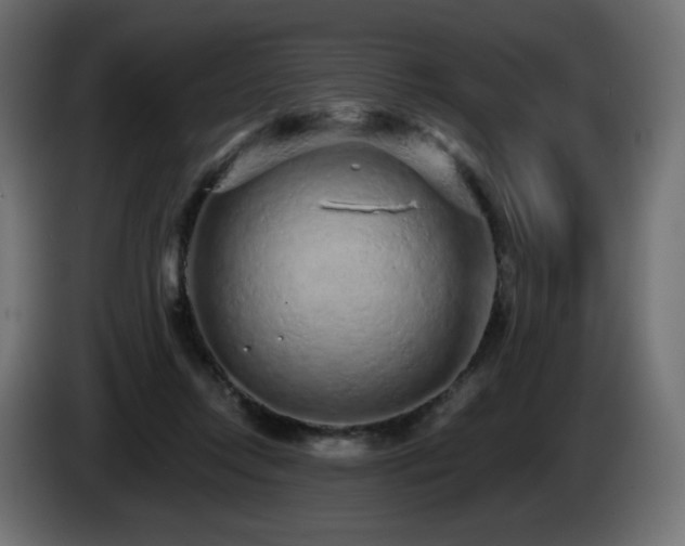 X0000085060358200703051444