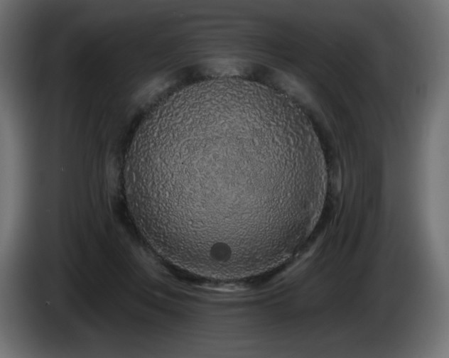 X0000085060359200703051444