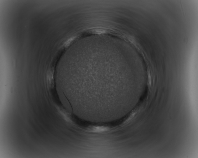 X0000085060360200703051444