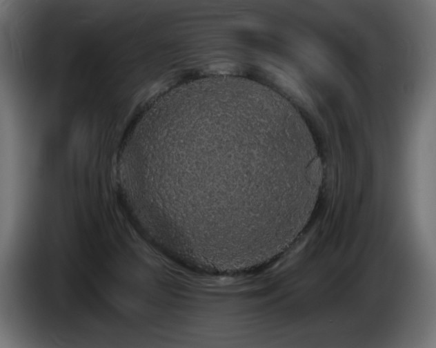 X0000085060361200703051444
