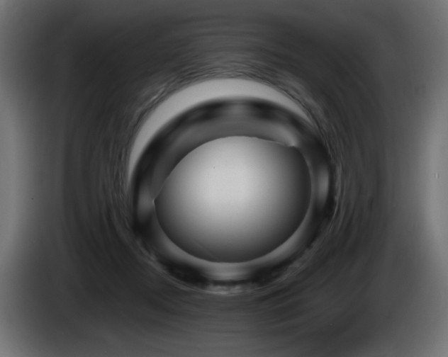 X0000085060362200703051444