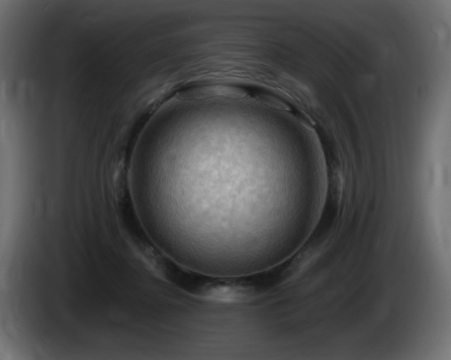 X0000085060364200703051444