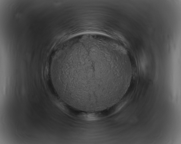 X0000085060365200703051444