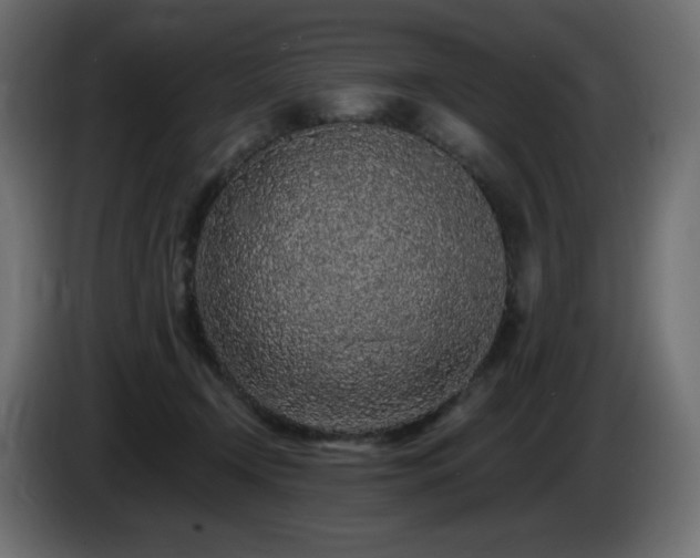 X0000085060366200703051444
