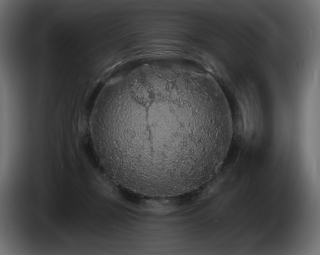X0000085060367200703051444