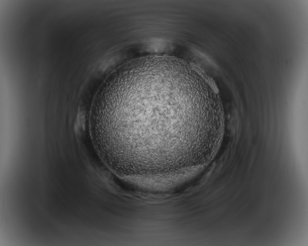 X0000085060368200703051444
