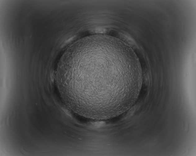 X0000085060374200703051444