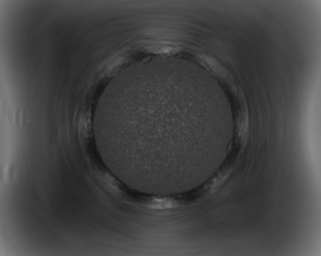 X0000085060376200703051444