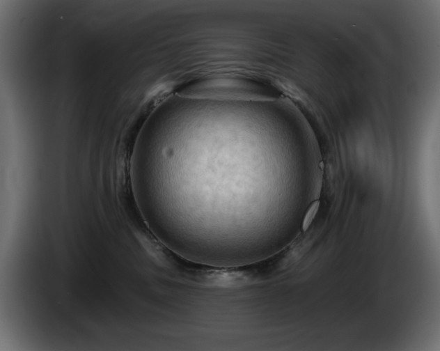 X0000085060379200703051444