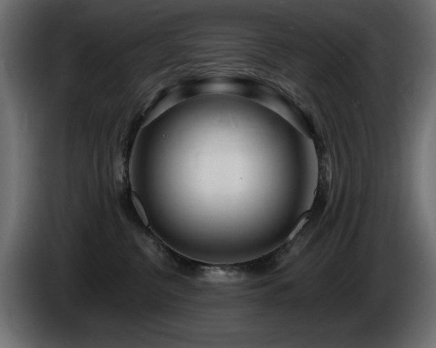 X0000085060380200703051444