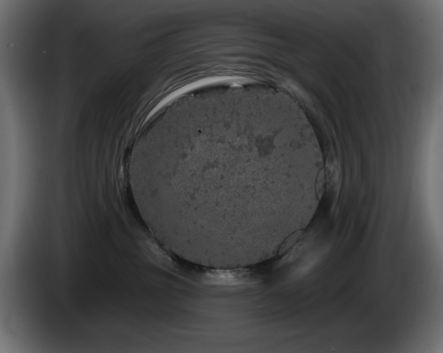 X0000085060381200703051444