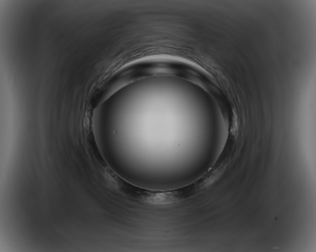 X0000085060382200703051444