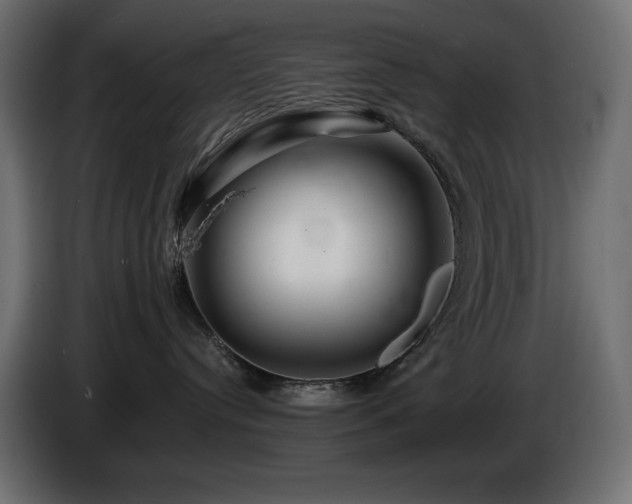 X0000085060384200703051444