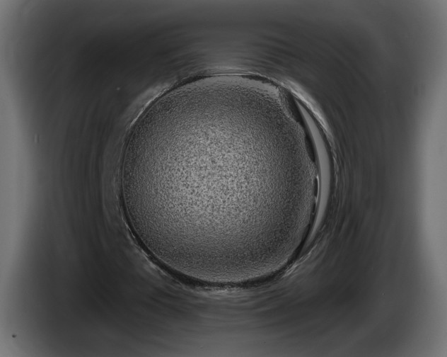 X0000085060385200703051443