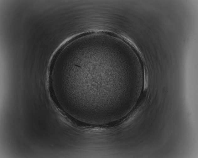 X0000085060387200703051443