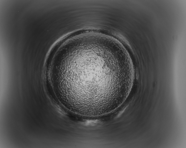 X0000085060388200703051443