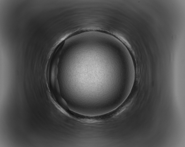 X0000085060389200703051443