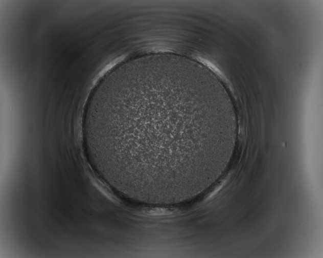 X0000085060390200703051443