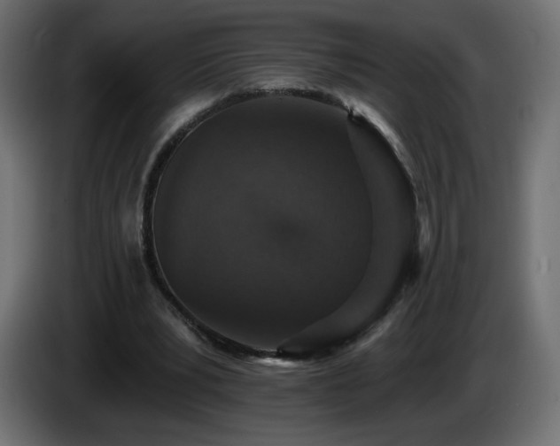X0000085060391200703051443