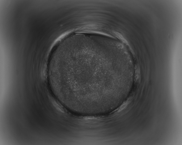X0000085060392200703051443