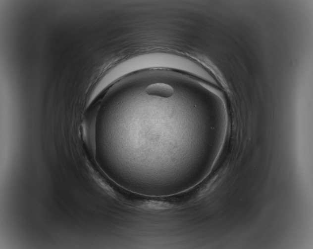 X0000085060393200703051443