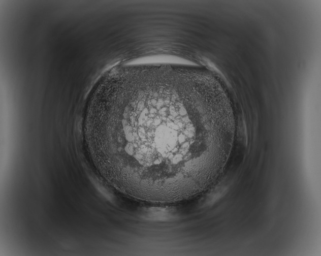X0000085060394200703051443