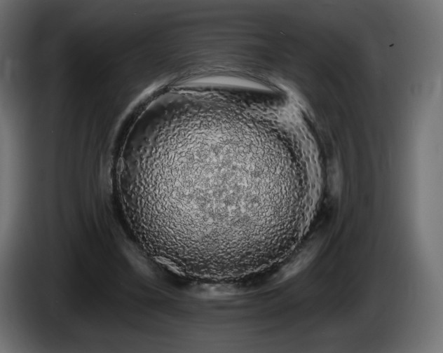 X0000085060395200703051443