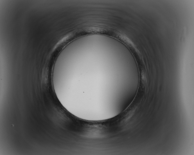 X0000085060396200703051443