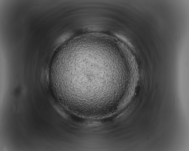 X0000085060398200703051443