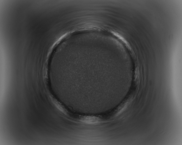 X0000085060399200703051443